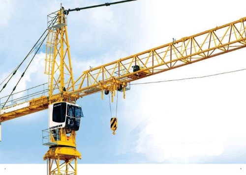 kiểm định cần trục tháp